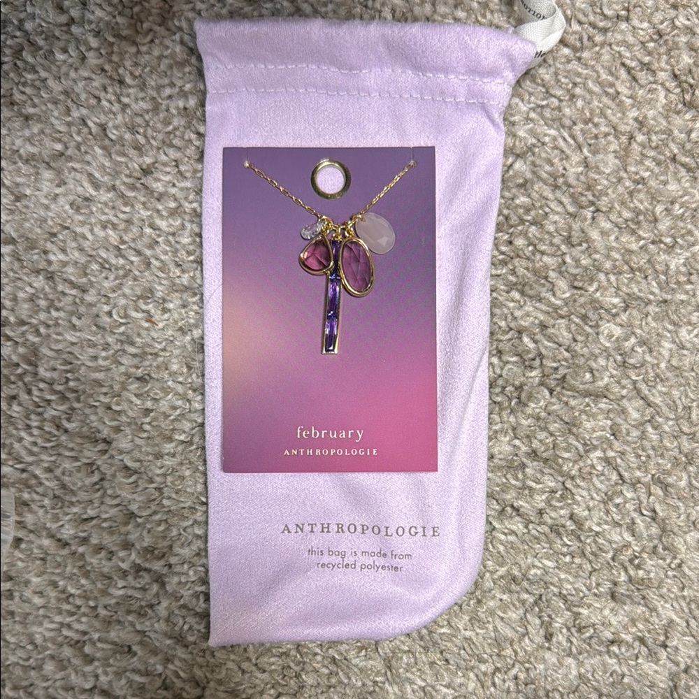 Anthropologie February Necklace with Purple Accents